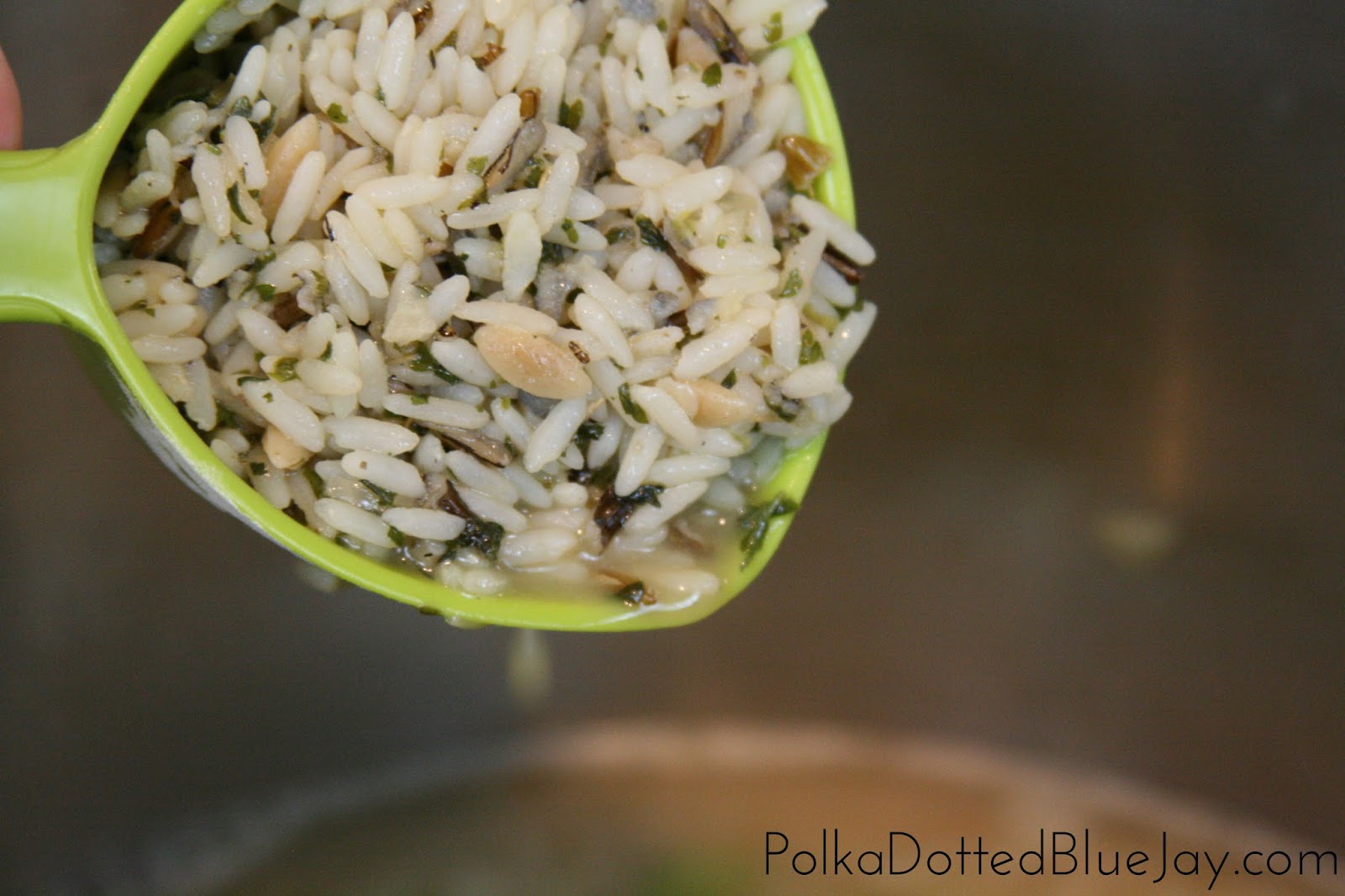 Chicken and Wild Rice Soup with Uncle Ben's® Polka Dotted Blue Jay