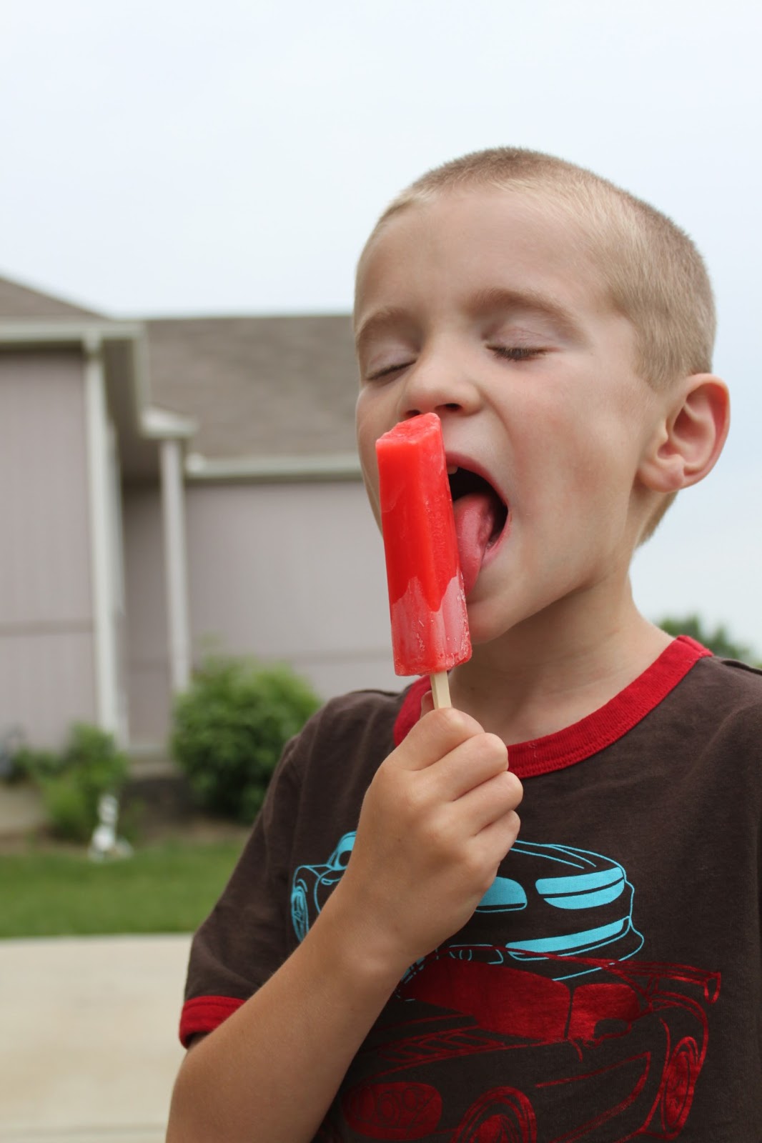 Scrogin Family Popsicles & a Water Sprinkler