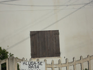 Aluga-se rata - Praia da Vieira