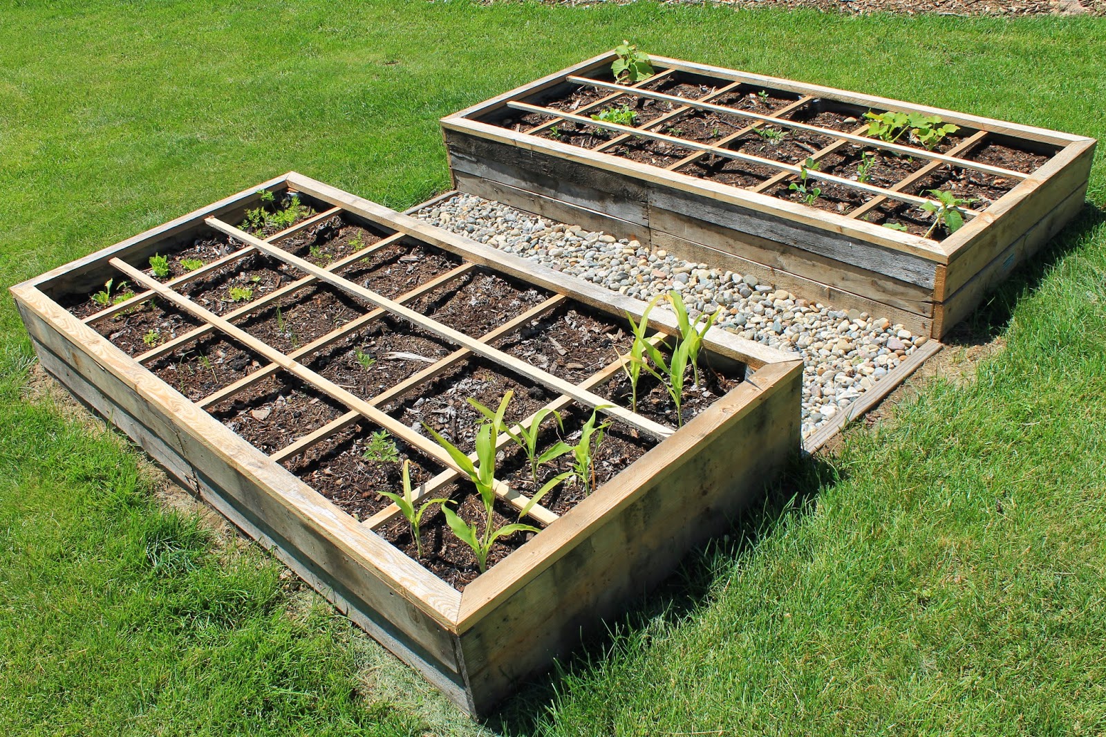 What is Square Foot Gardening? A Brief Overview ~ Simple Suburban Living