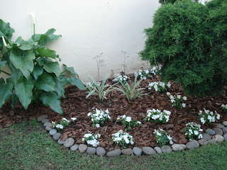 Reverdir **JARDINERIA Y PAISAJISMO**: GARAGE convertido en JARDÍN