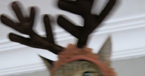 Turkishly Delightful: Christmas card outtakes