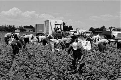 trabajo inmigrante españa