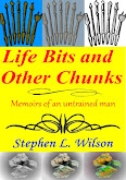 Life Bits and Other Chunks - Memoirs of an Untrained Man