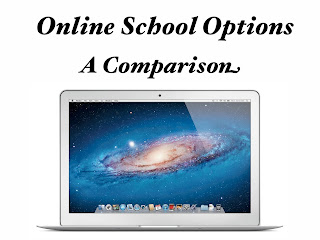 Utah Online Options Compared Play With A Purpose Homeschooling