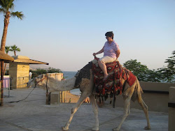 Camel Riding - June 16, 2011