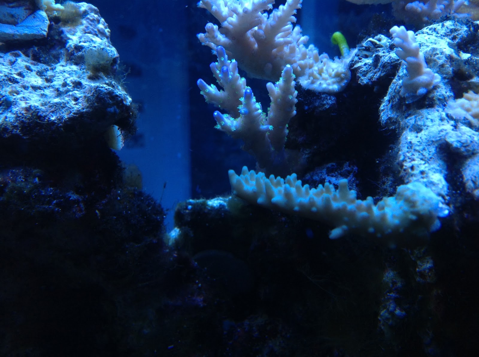 IMG_0727.JPG