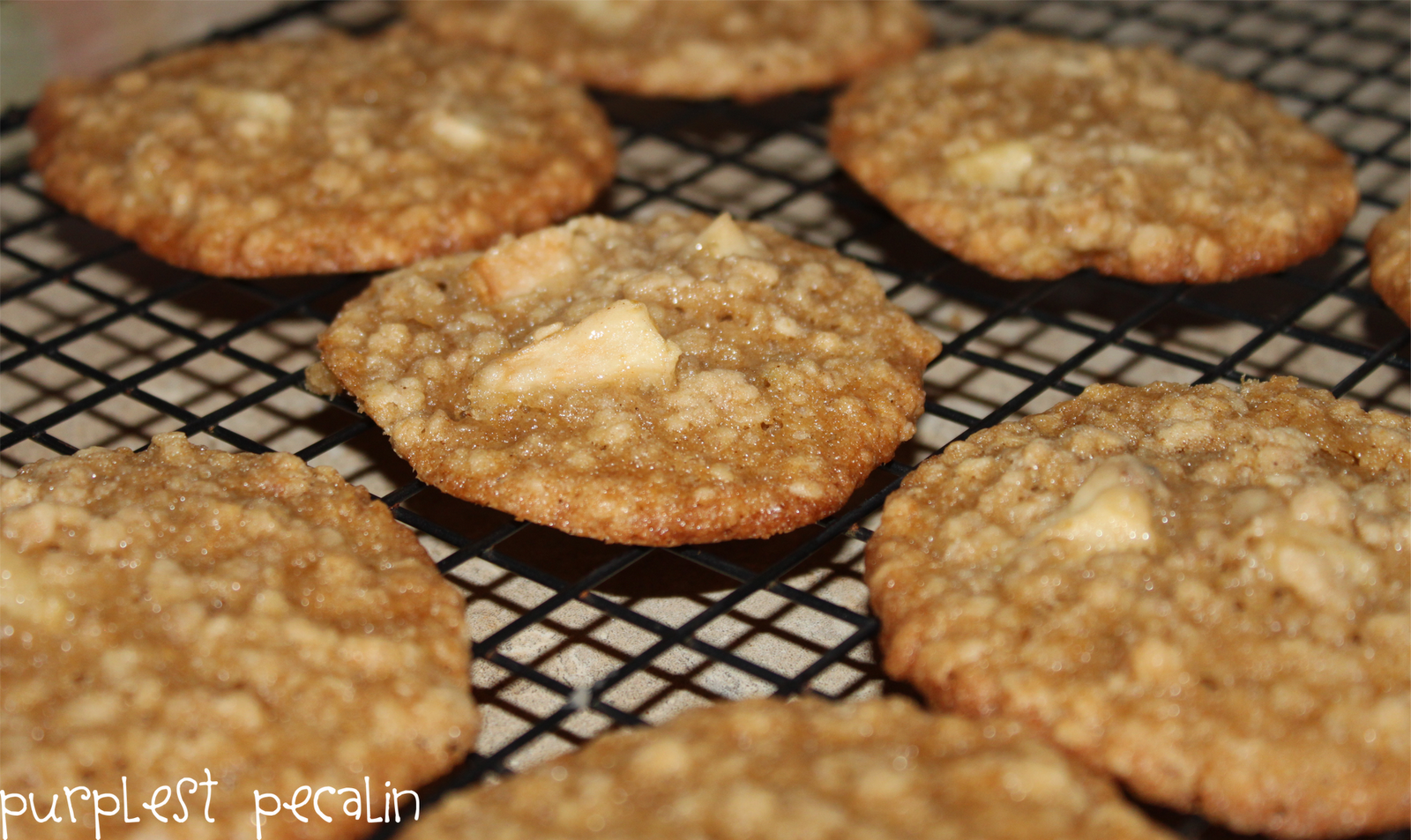 Apple Cinnamon Oatmeal Cookies Recipes — Dishmaps