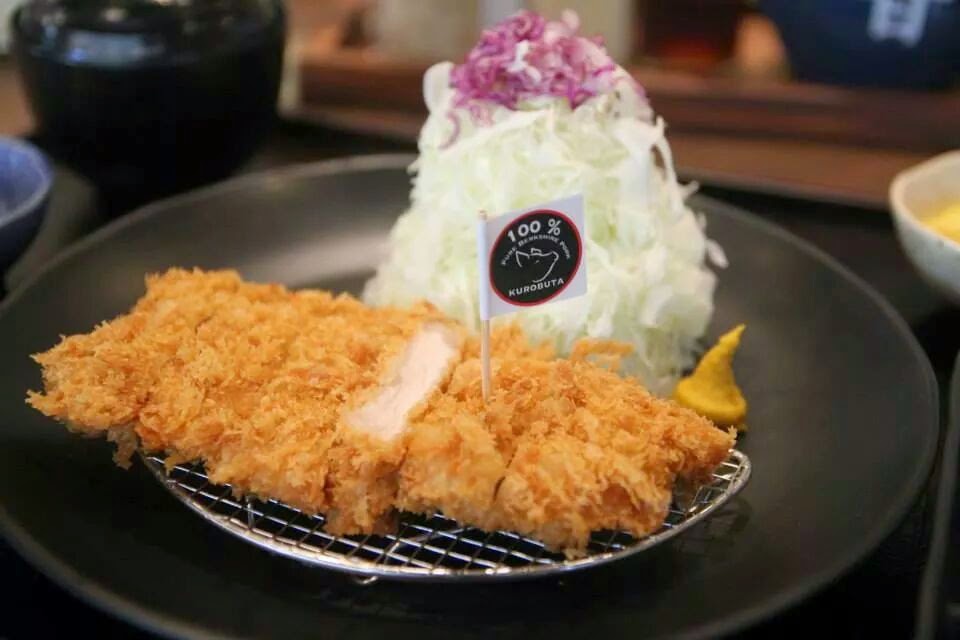 The Best of Tonkatsu by Terazawa