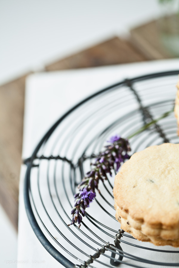 Lavendel Keks Sommer Gebäck Post aus meiner Küche
