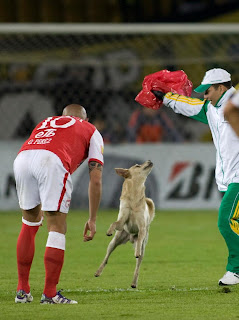 Juego del Perrito que se metió al Campín