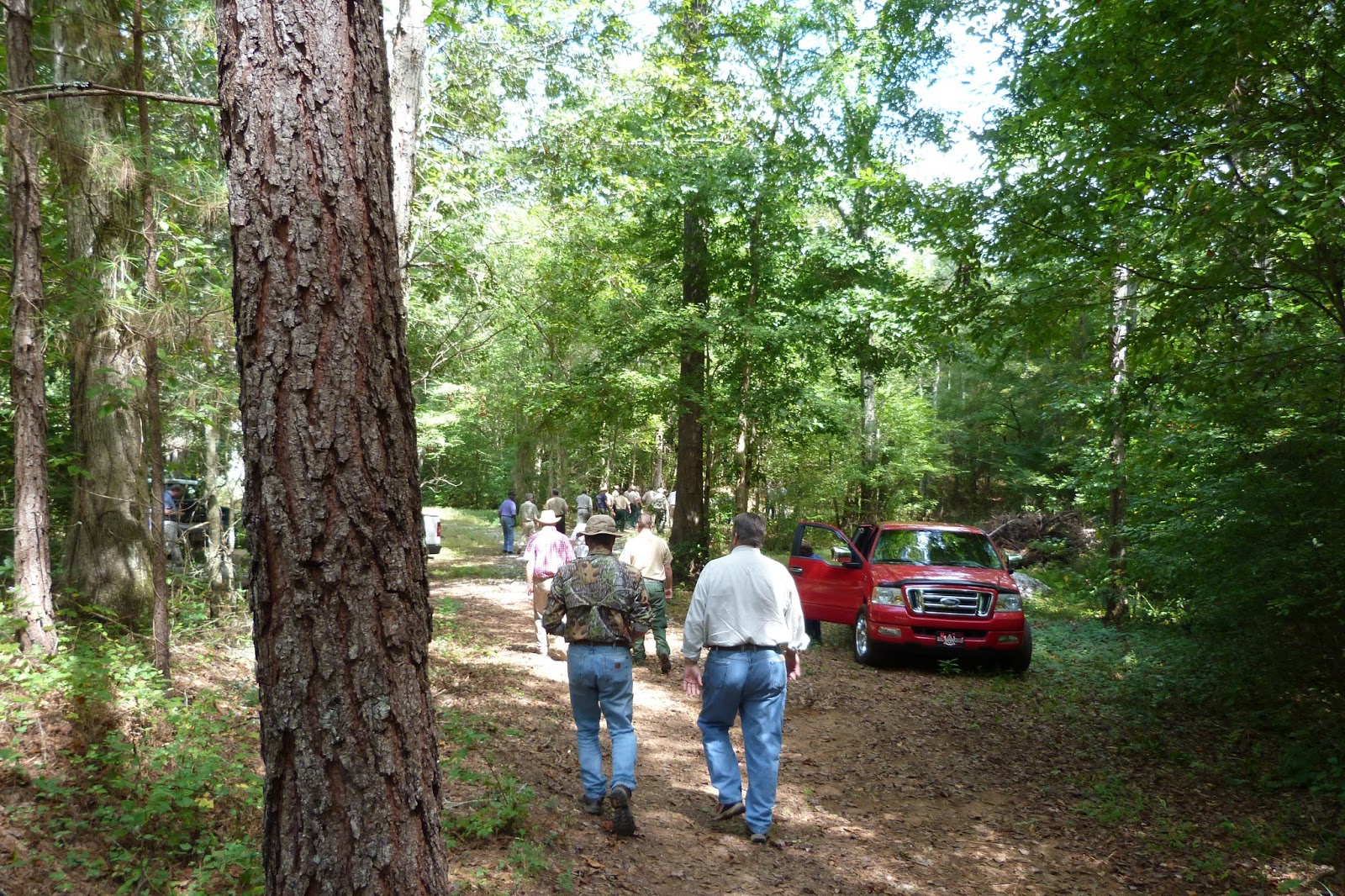 Dewberry Lands Stream Crossing and Forest Road Tour
