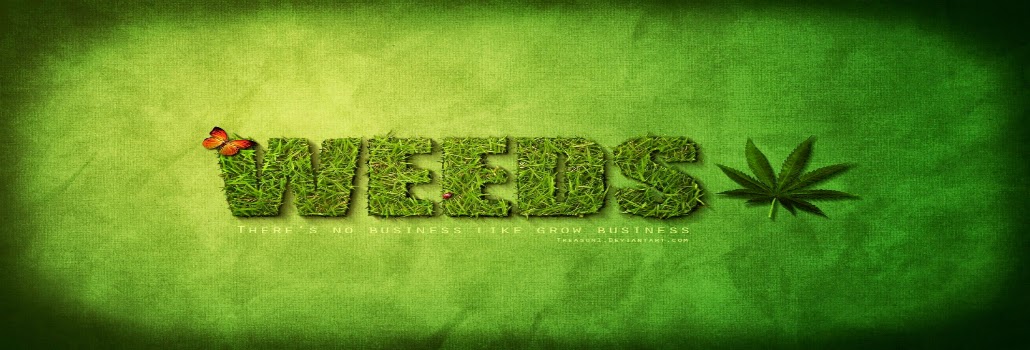 Weeds The Complete Series