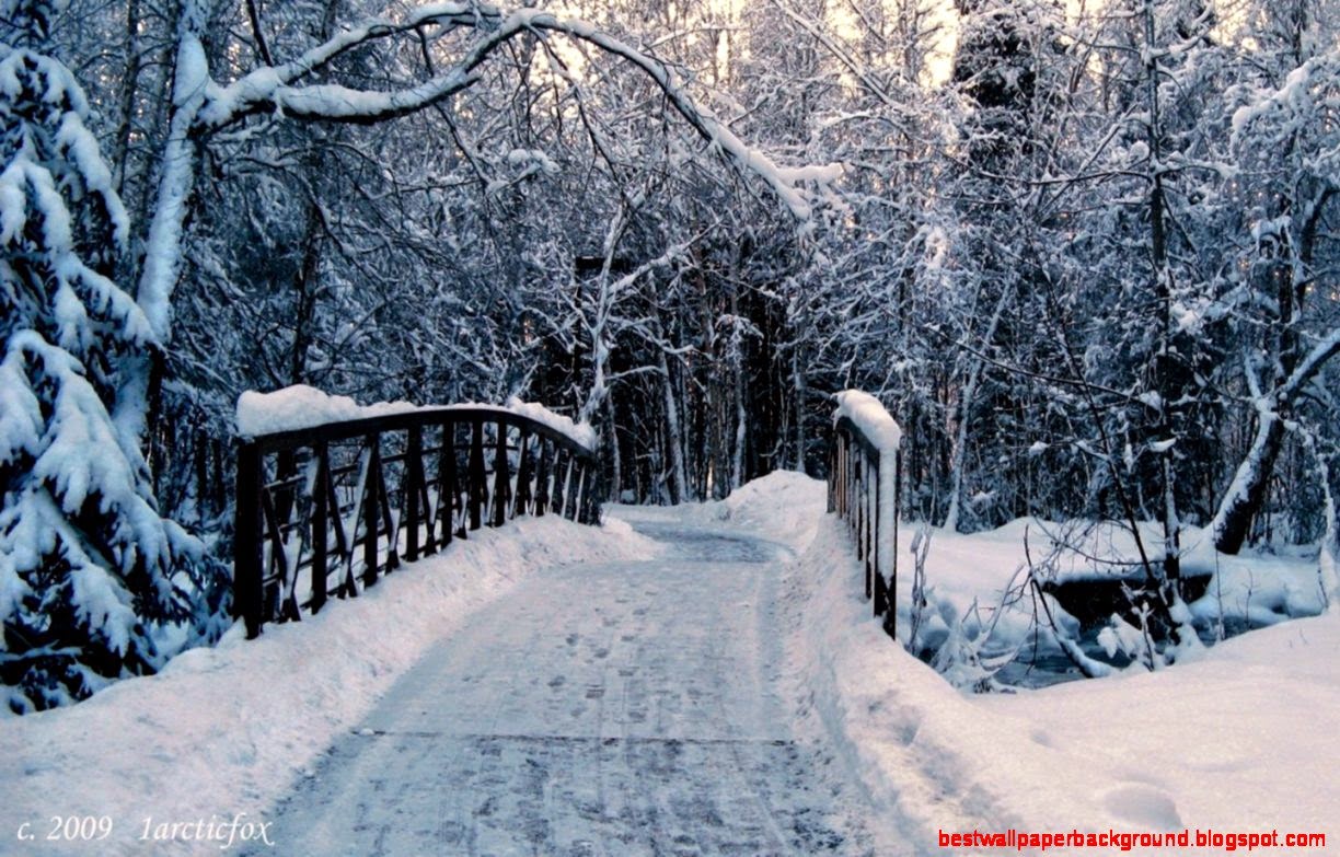 Winter Wallpapers Full HD Pictures Winter Wallpapers Full HD Pictures