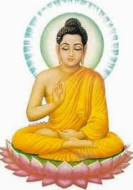 rencontres dans into the wild