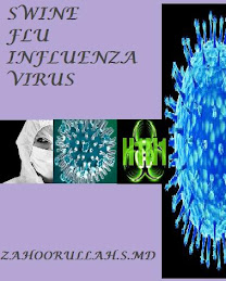 SWINE FLU INFLUENZA VIRUS