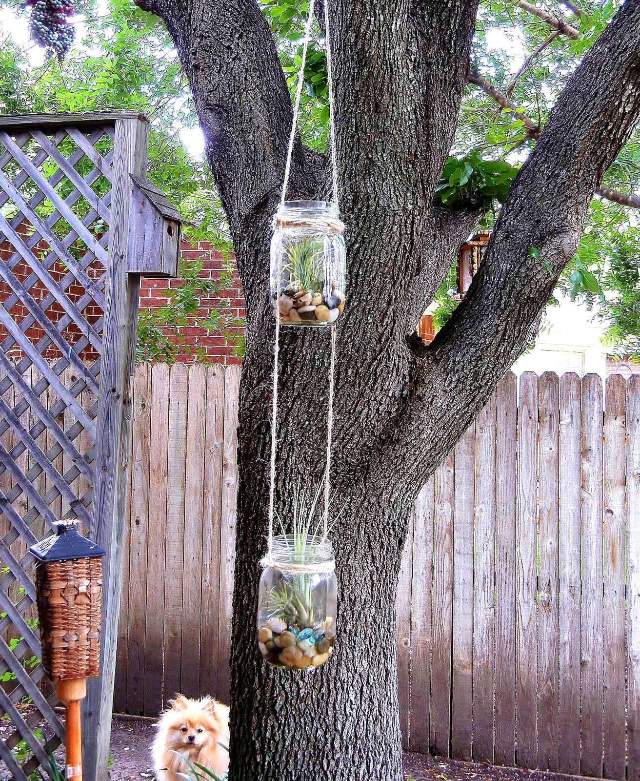 Release Me Creations DIY Wednesday Hanging Mason Jar Planters
