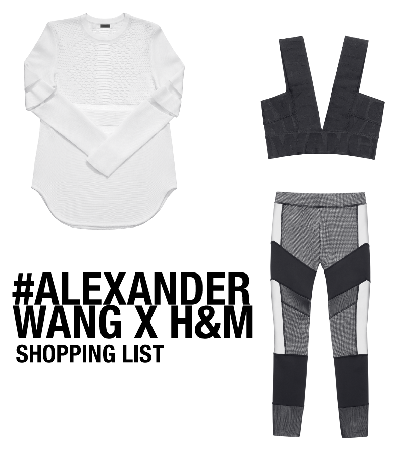 ALEXANDER WANG X H&M / SIX, lifestyle blog
