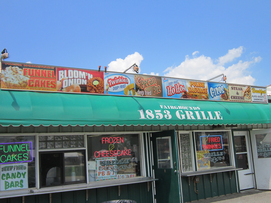 Mad Dabblings in a City Garden Buckets and Bolts & Easy Things for YOU