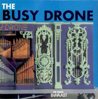 The Busy Drone, BVHaast