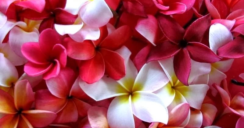 Lirik Lagu Rohani Sahabat Terbaik Sari Simorangkir