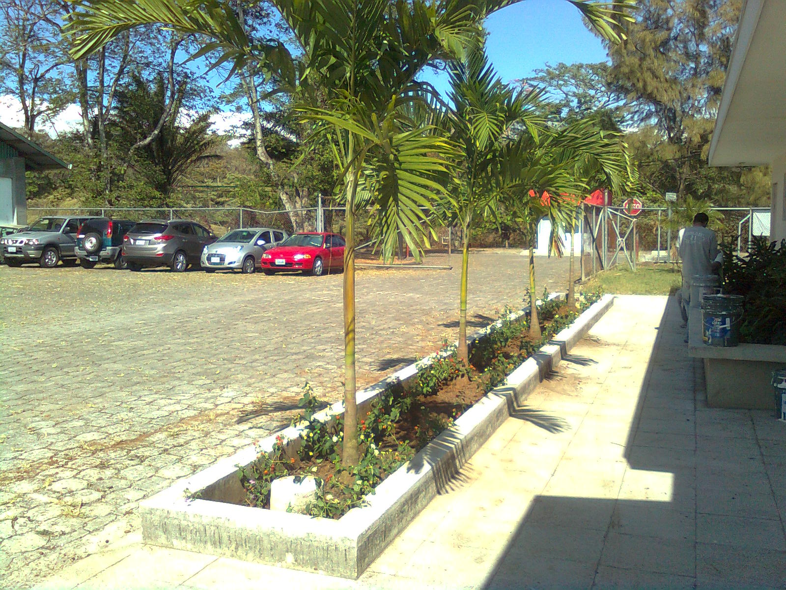 MANTENIMIENTO Y DISEÑO DE JARDINES: Decoracion de jardineras