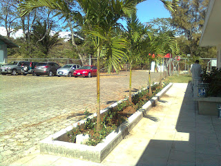 MANTENIMIENTO Y DISEÑO DE JARDINES: Decoracion de jardineras