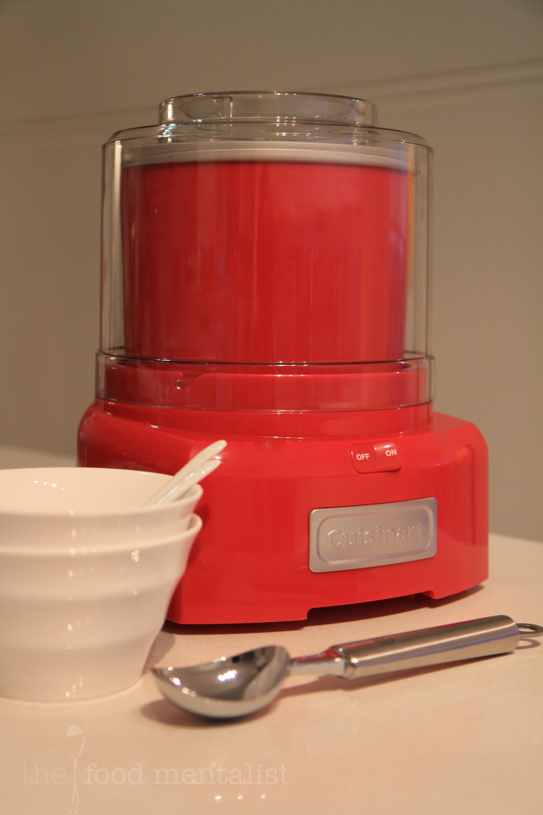 Raspberry Frozen Yogurt w/ Cuisinart