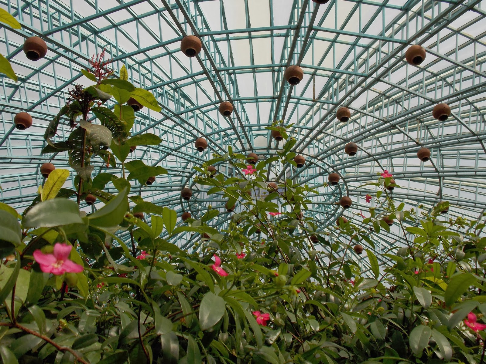Reflection Bangalore's Butterfly Park