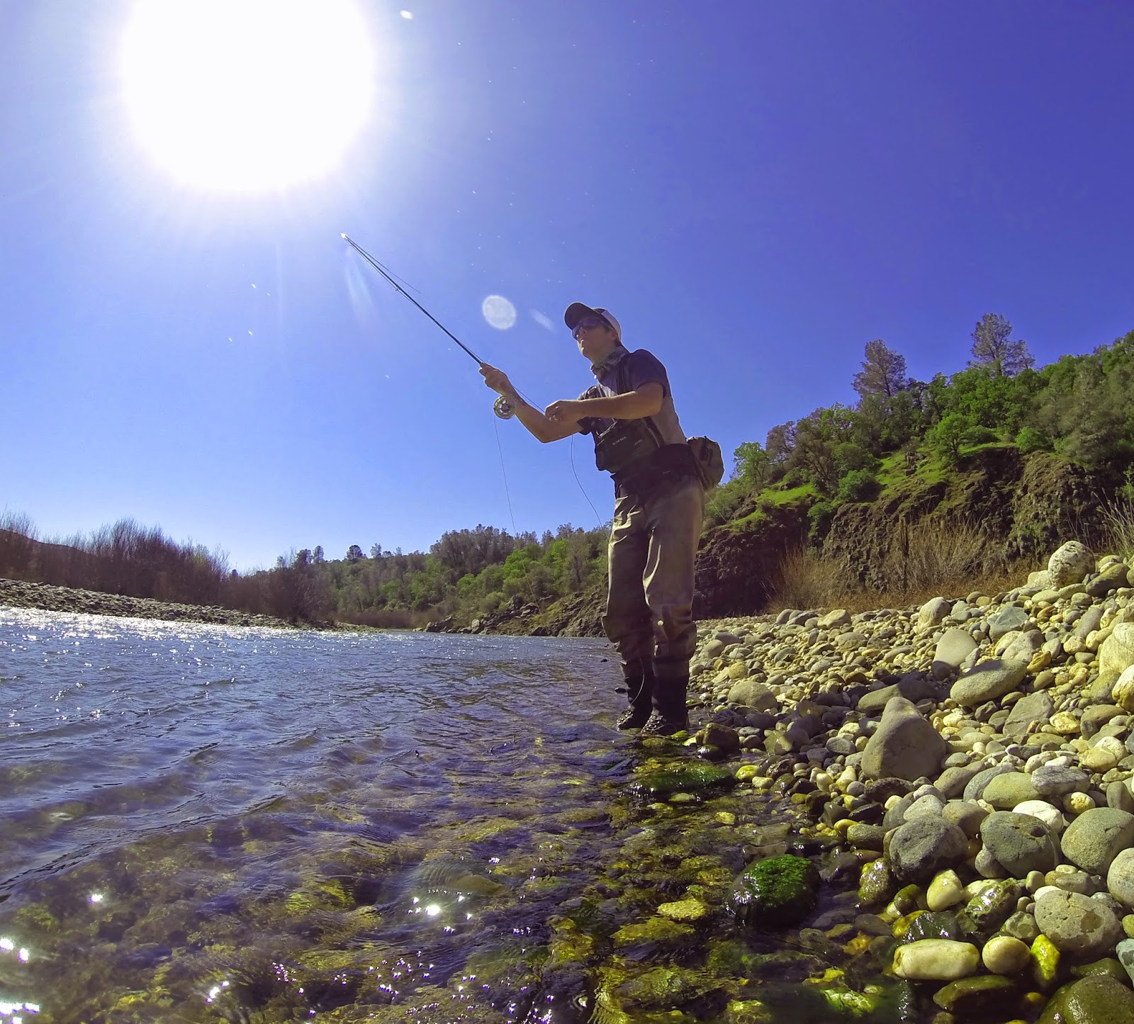 Jon Baiocchi Fly Fishing News Lower Yuba River Fishing Report 3/8/2015