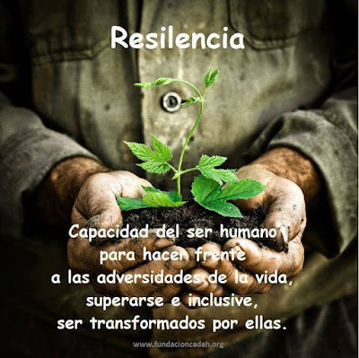 Autossustentável: Resiliência