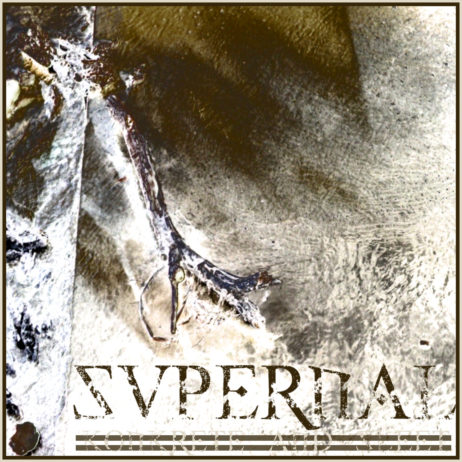 Famous Album Covers supernal