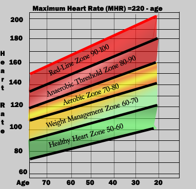 Aerobic Workout Heart Rate Chart