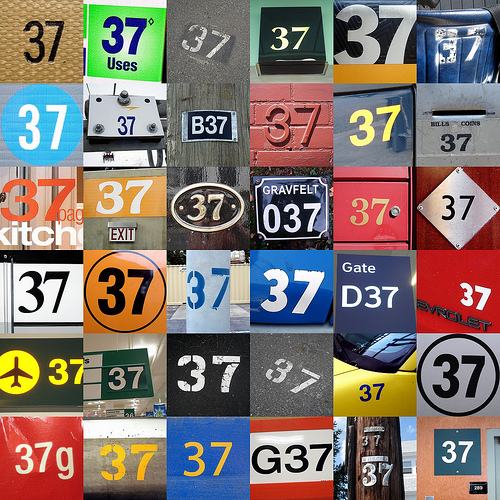 One Year...No Beer! One Year No Beer 10 Complete