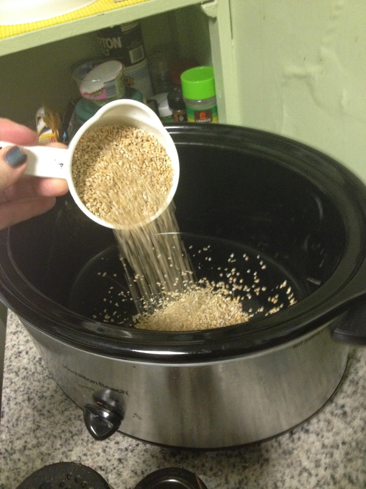 GLYSDI How to make Steel Cut Oats in the Crock Pot