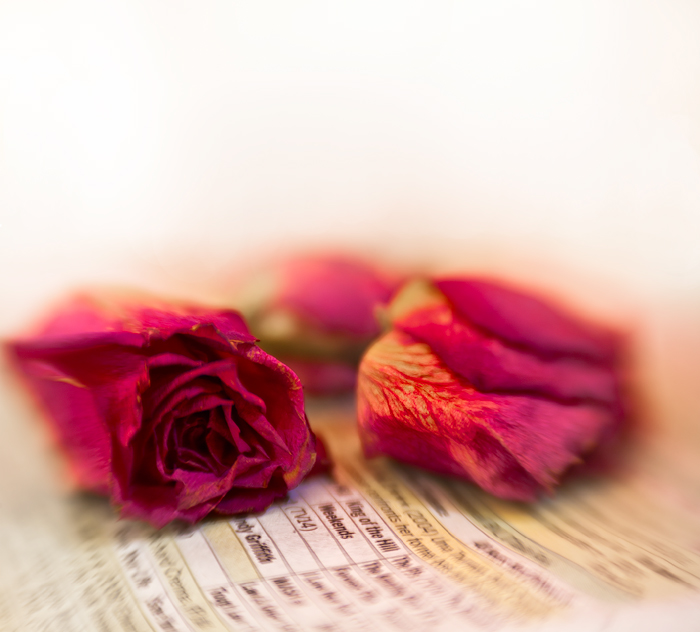 Mini Competition #1082