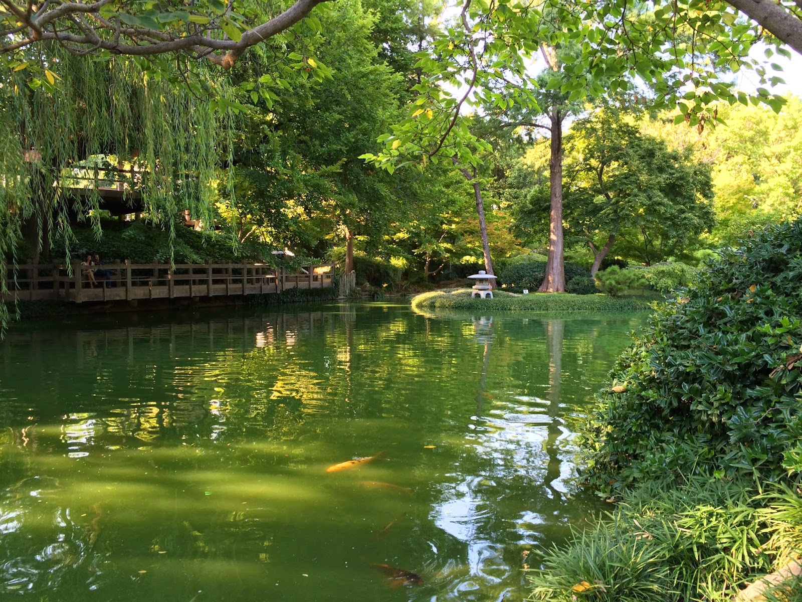 Nafisa's World Fort Worth Japanese Garden