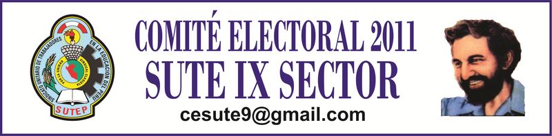 Comité Electoral 2011 Sute IX Sector