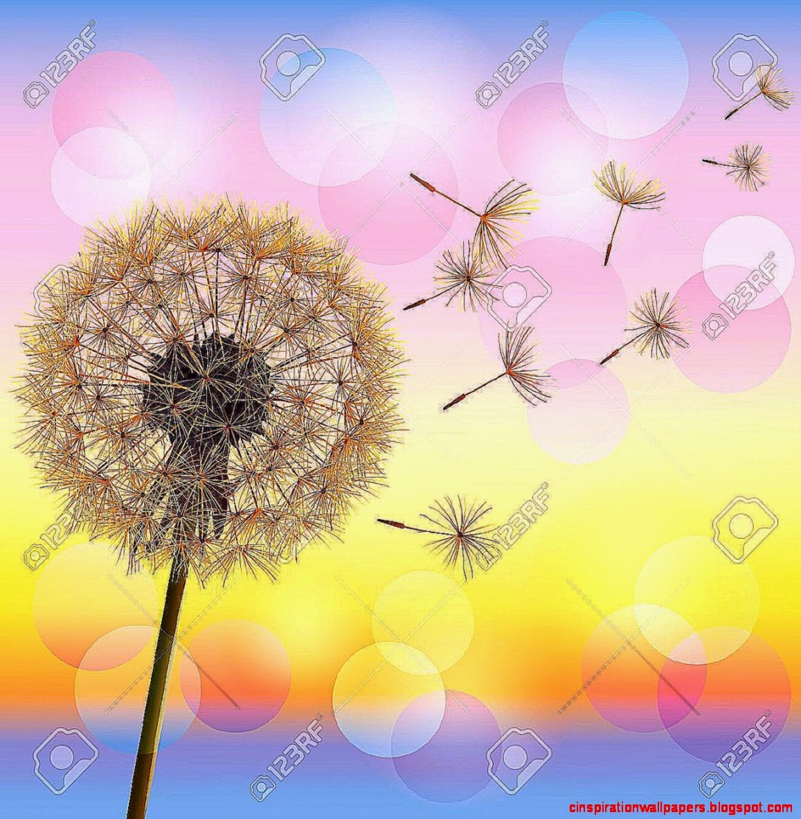Flower Dandelion On Background Of Sunset Vector Illustration Flower Dandelion On Background Of Sunset Vector Illustration