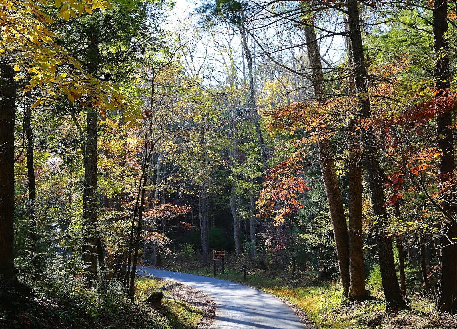 Sweet Southern Days Parson Branch Road In The Great Smoky Mountains