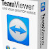 TeamViewer To Connect To Your Partners Screen