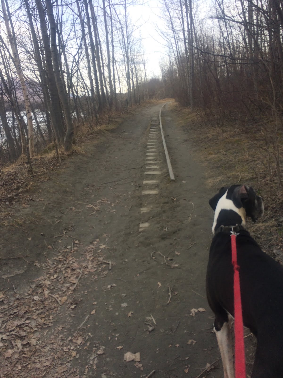 PalmerMoose Creek Railroad trail