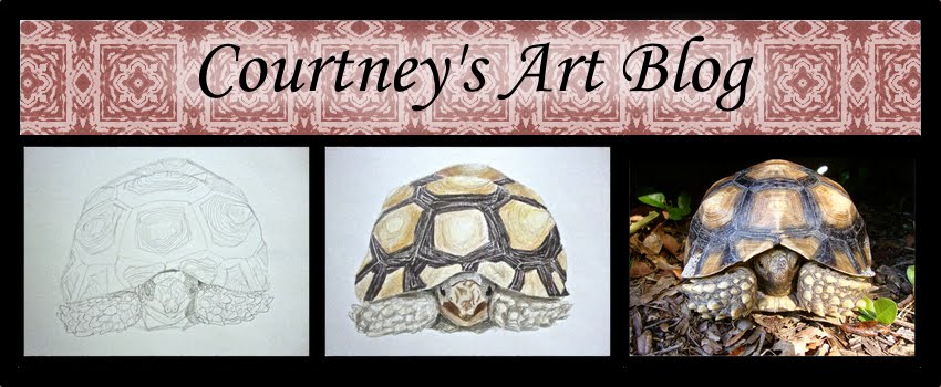 Courtney's Art Blog