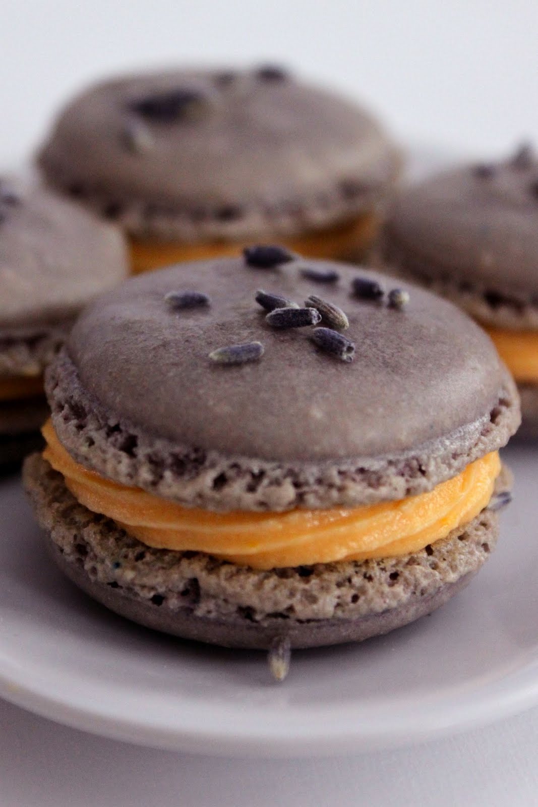 Baked Perfection Lavender Macarons with Orange Honey Buttercream