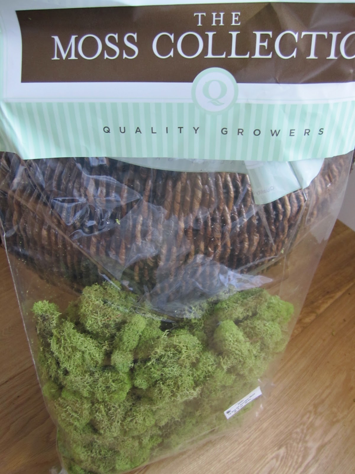 classic • casual • home Real vs Artificial House Plants