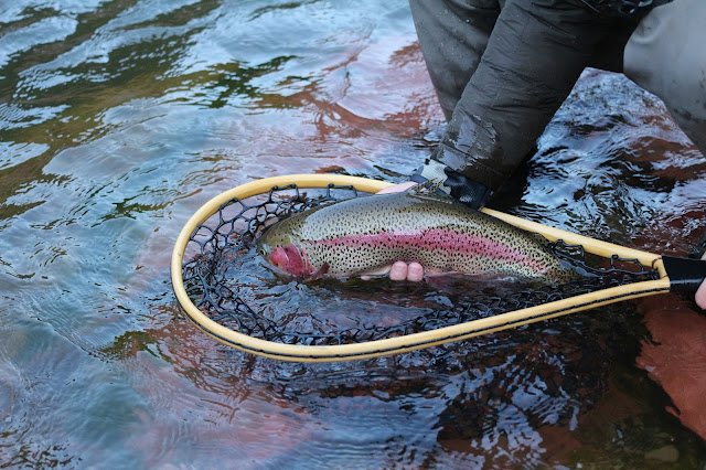 Flyfishing%2BColorado%2Bwith%2BJay%2BScott%2BOutdoors%2BPodcast%2B1.JPG