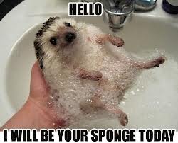 Funny pictures with captions, Funny caption pictures funny+pictures+with+captions+(8) Funny pictures with captions, Funny caption pictures