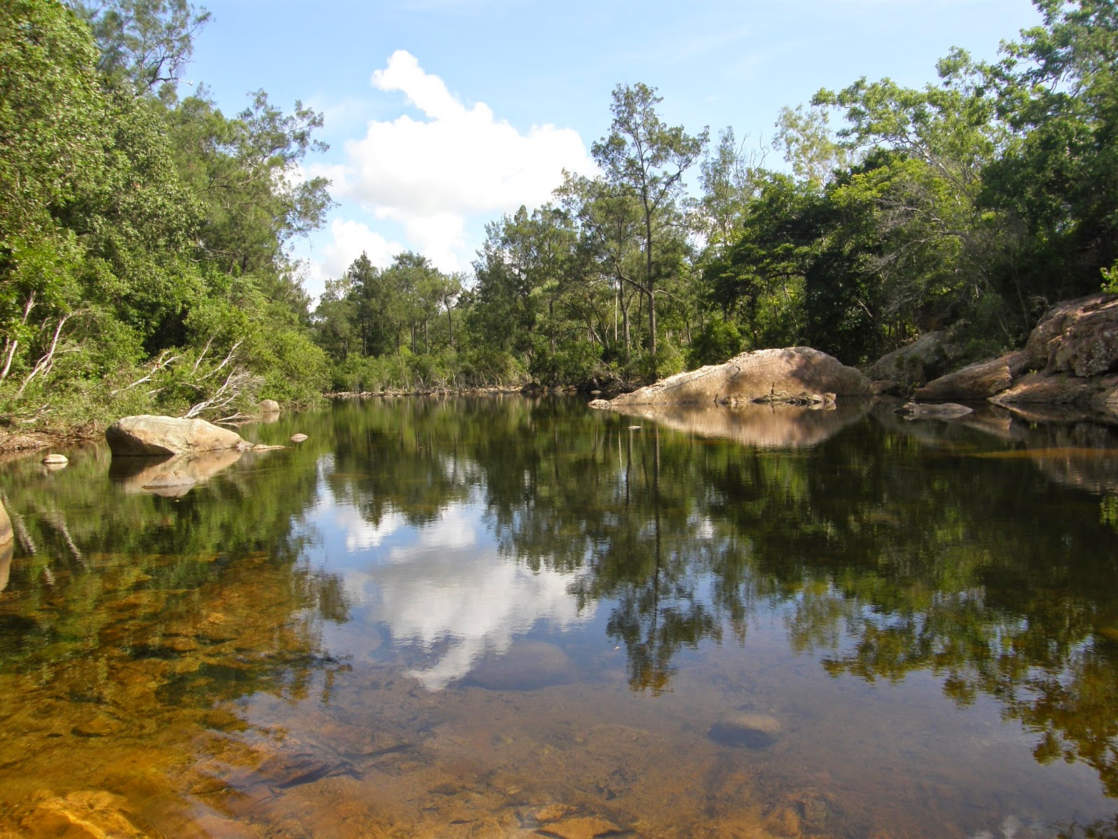 Great Adventures Alligator Creek