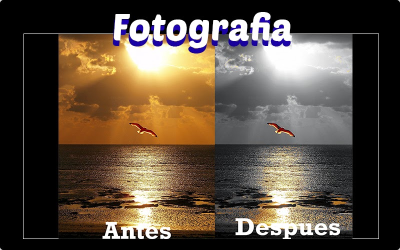 Forobeta5.jpg