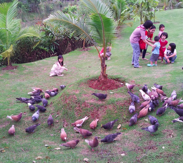 Ancol ECO Park (Taman ramah Anjing)